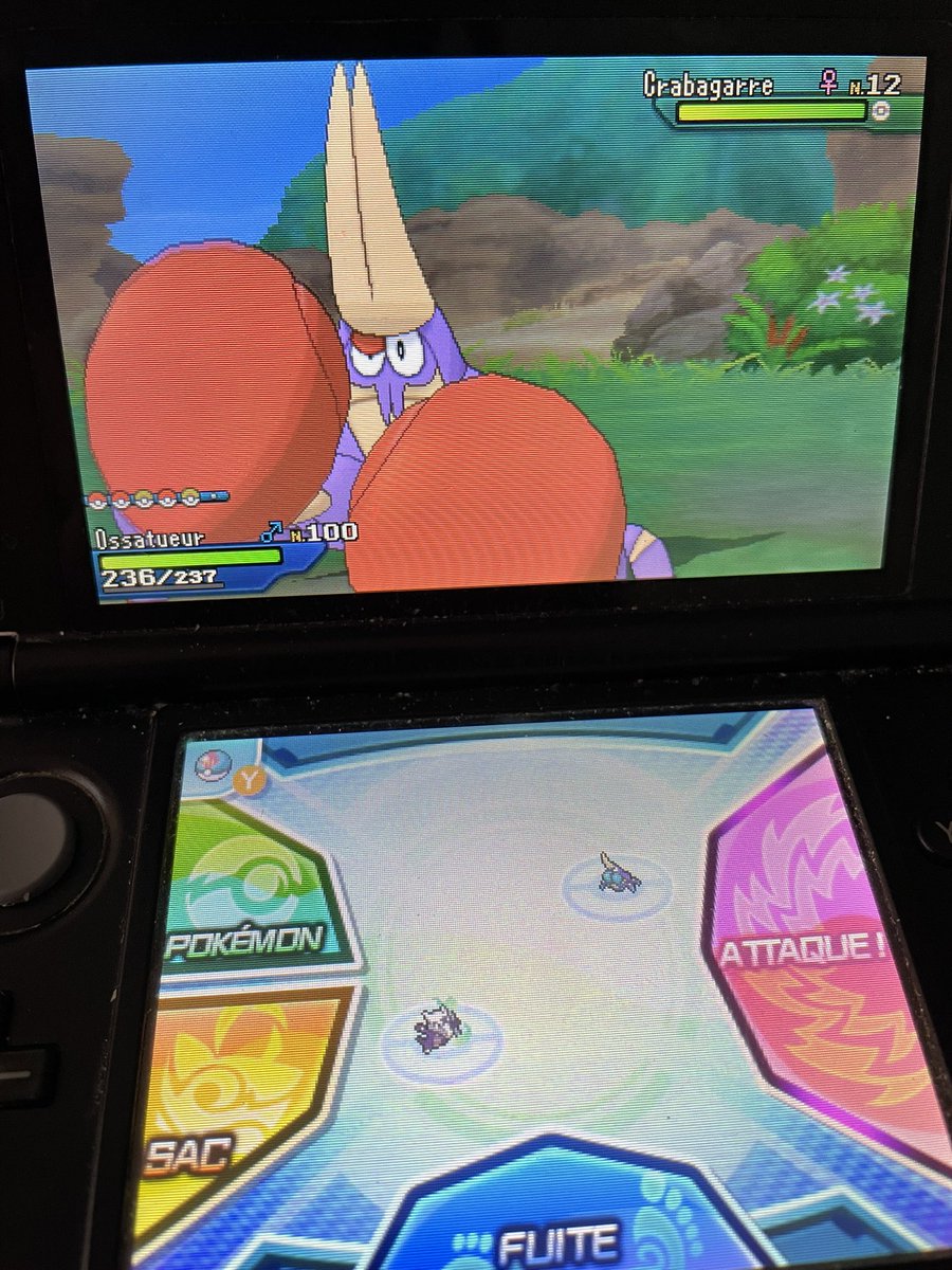 AquaBraiseSH tweet media