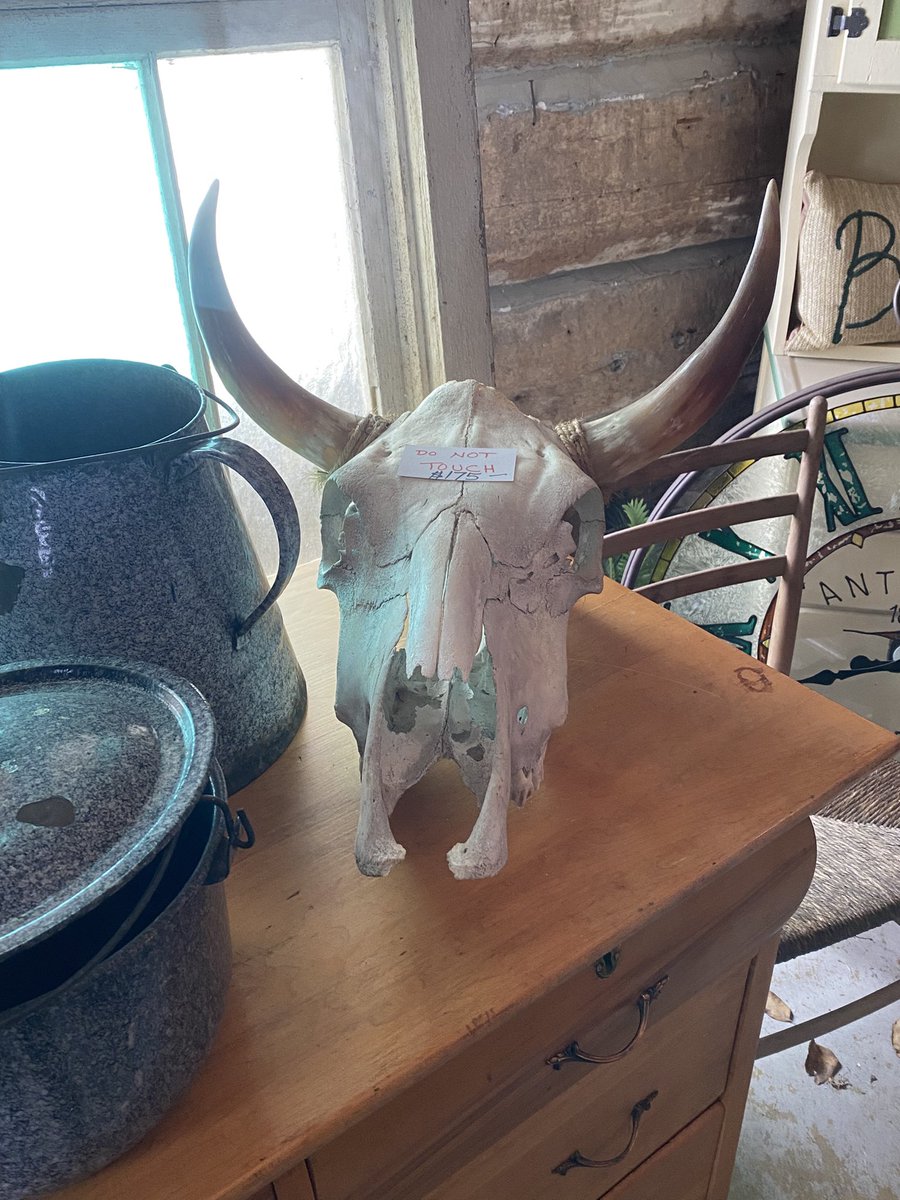 Michael Parkes Author tweet media