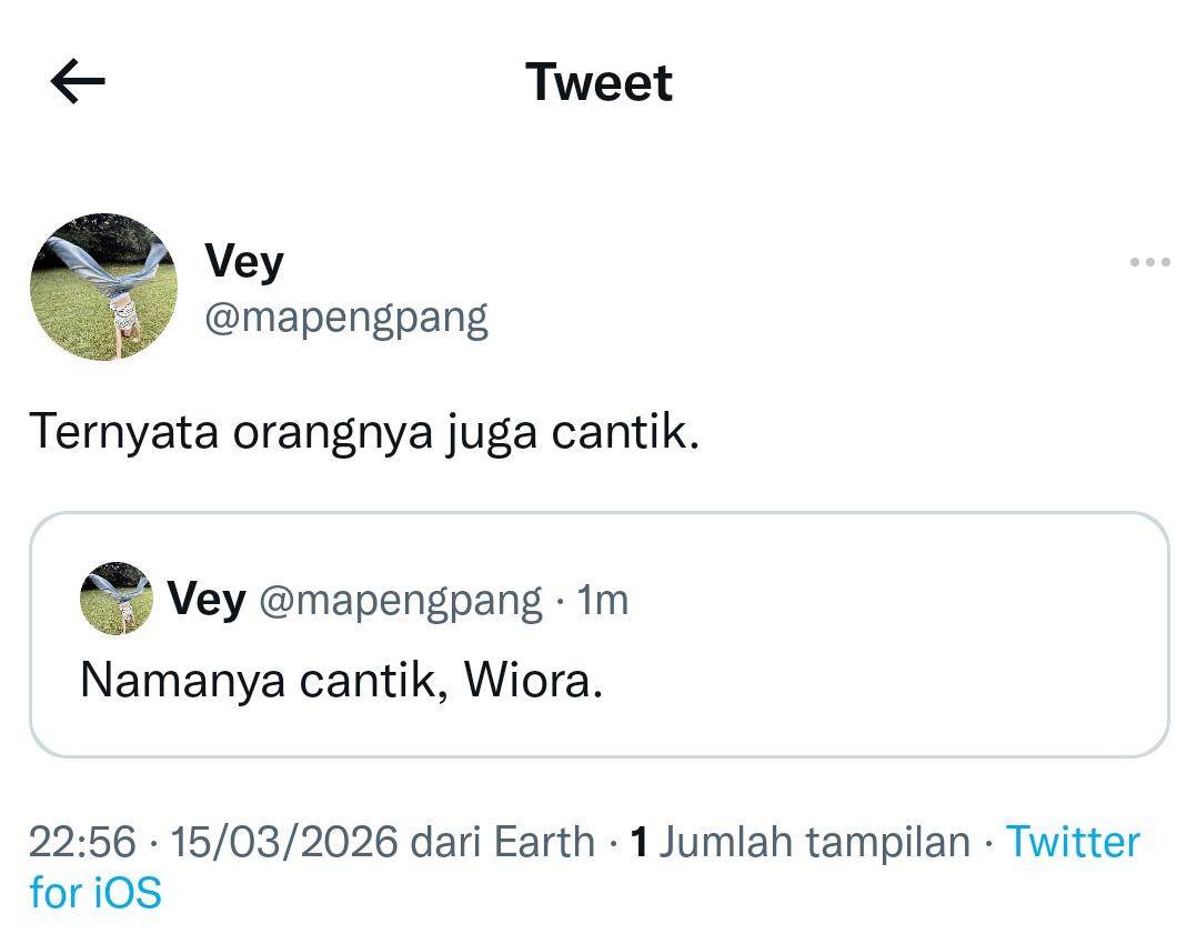 pim 🦋 tweet media