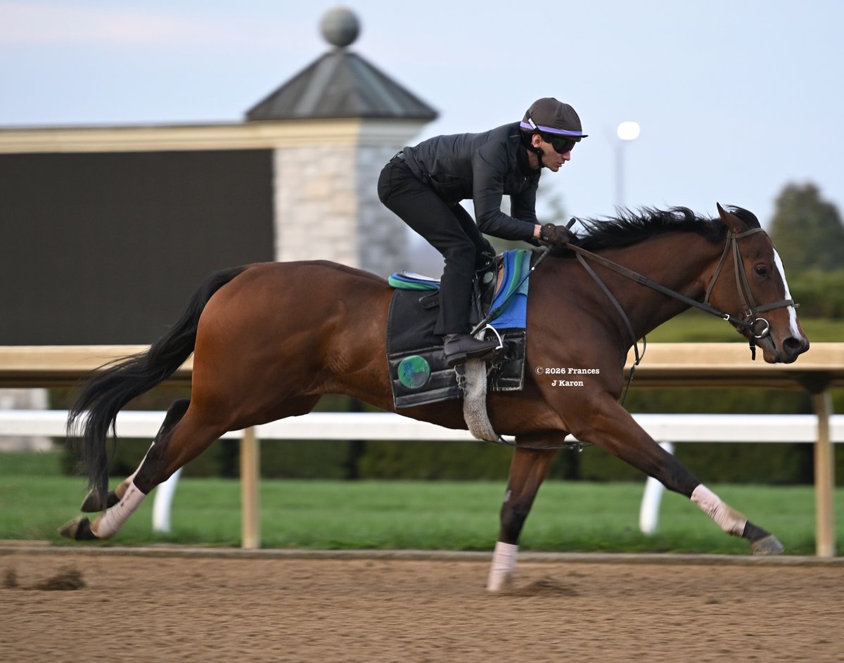 Frances J Karon tweet media