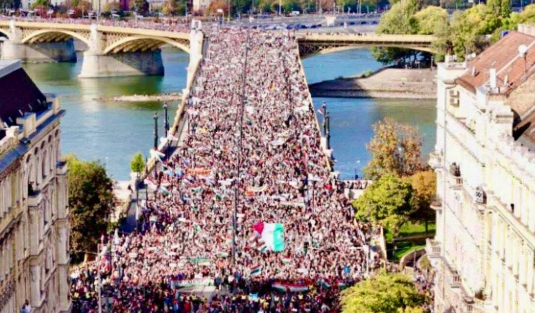 Marcin Romanowski tweet media