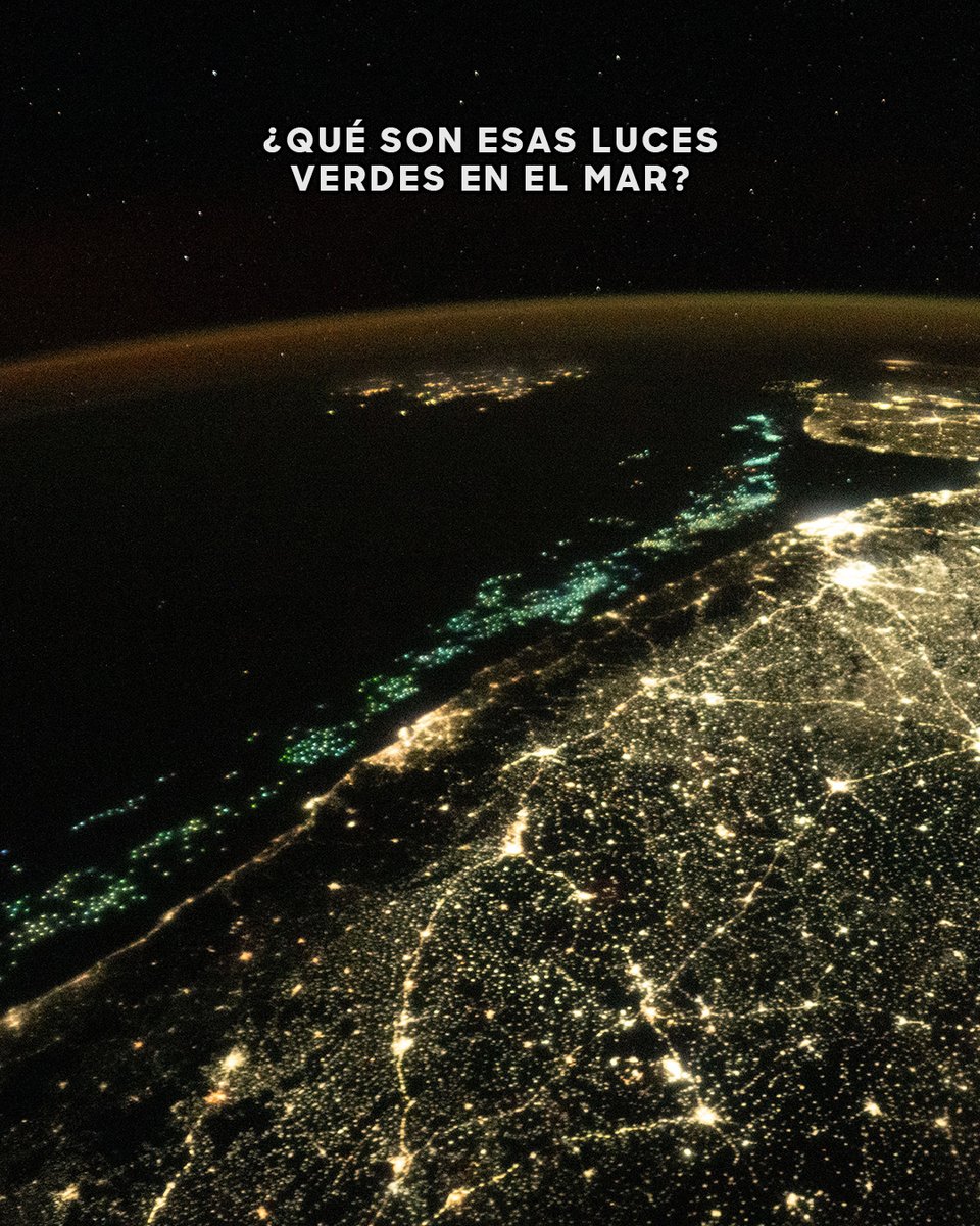 🌎 Discovery Channel tweet media