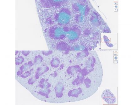 Brian Ahier tweet media