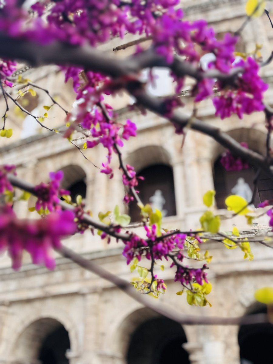 🖤 ishafire 🖤 tweet media