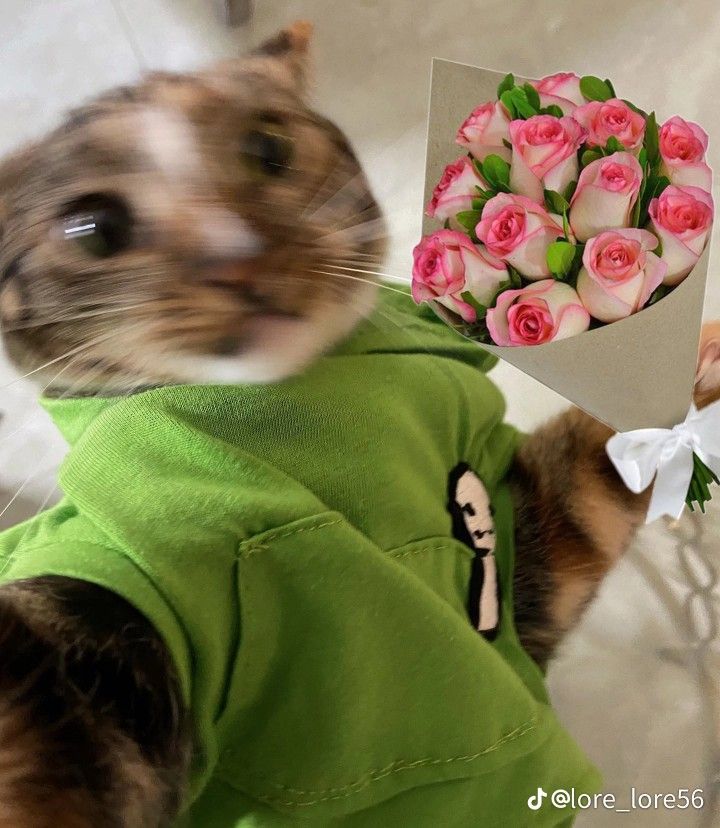 COLORMONZ, 🎨😈 tweet media