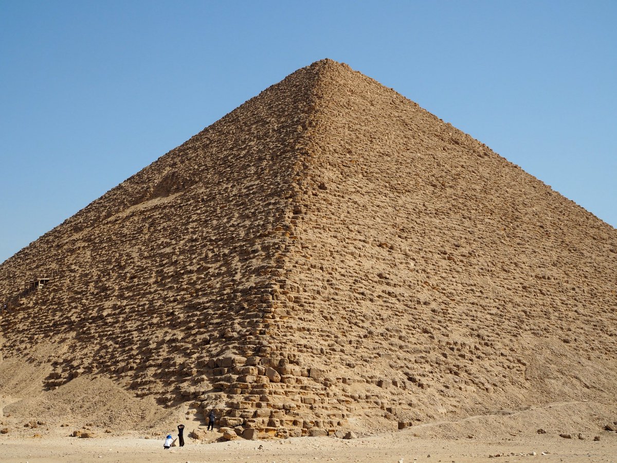 れいか tweet media