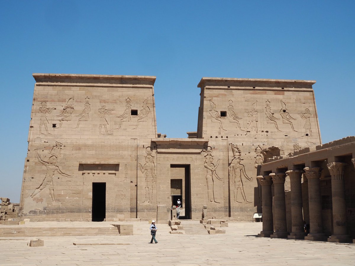 れいか tweet media