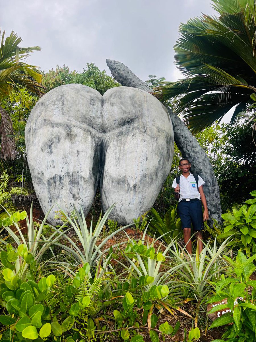 SeyBluefloat tweet media