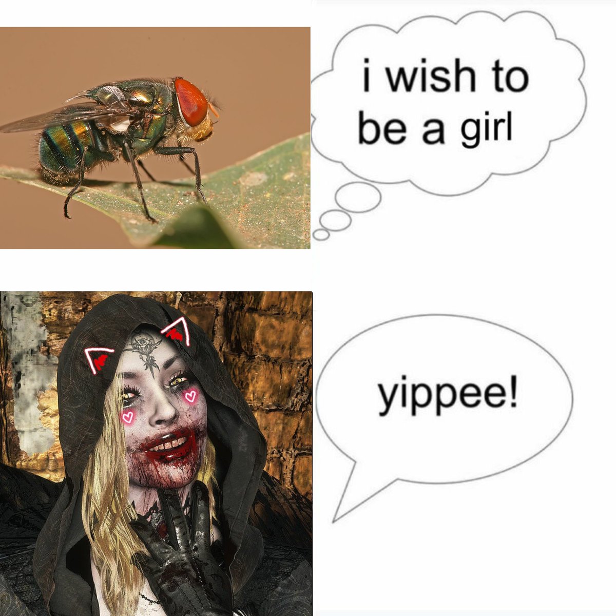 -▪Buffet▪- tweet media