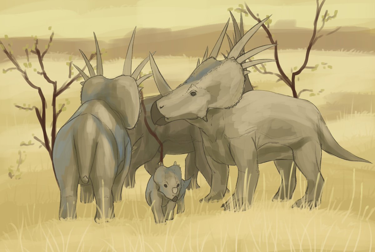 R1aT 💎 tweet media