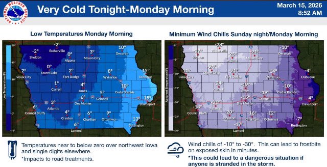 Shelby McCreedy tweet media