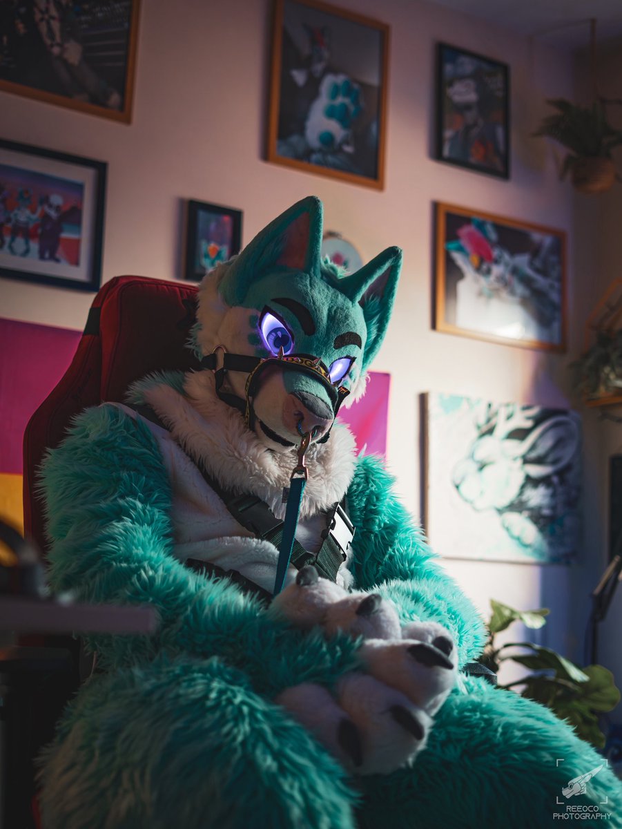 NeonGreenJellyBean 🔜Cfz26 tweet media