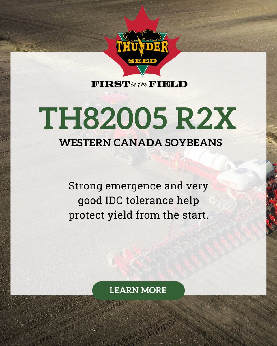 Thunder Seed tweet media