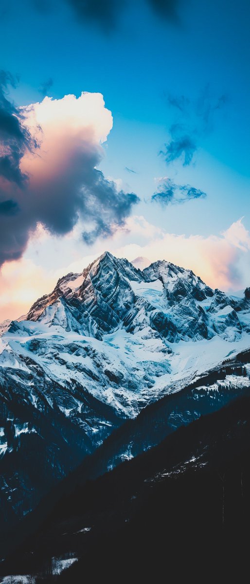 Phone Wallpapers tweet media