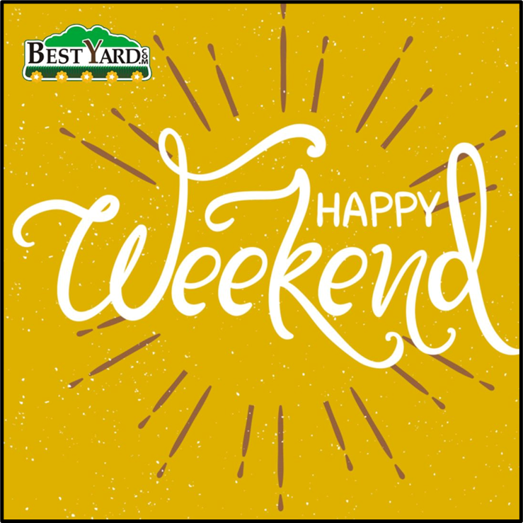 BestYard tweet media