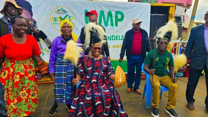 Lion of the Mountain tweet media