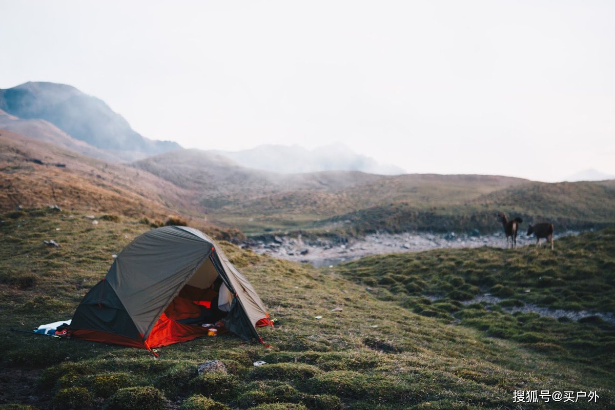 Mario Alonso Luzardo tweet media