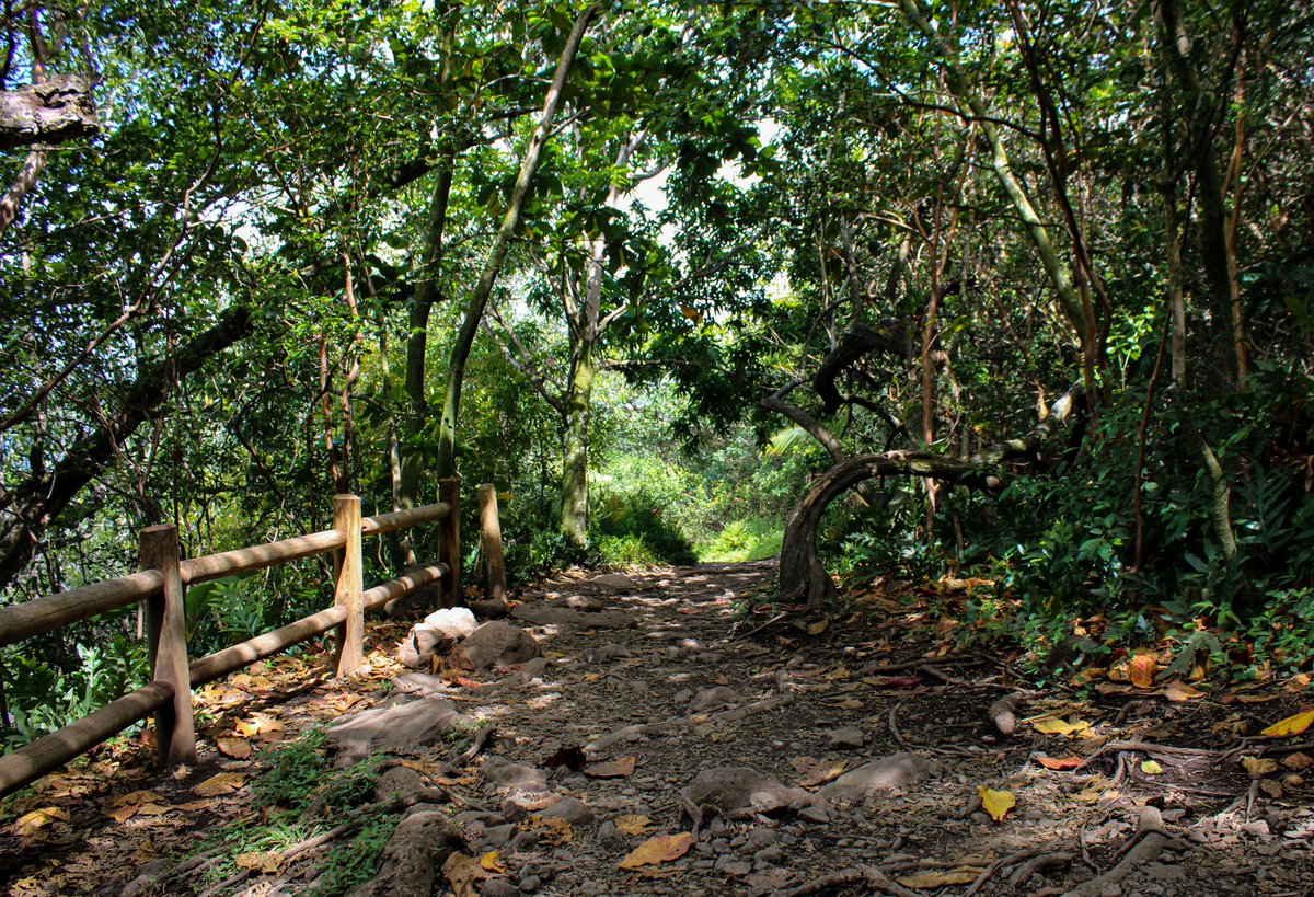 JoeZImages tweet media