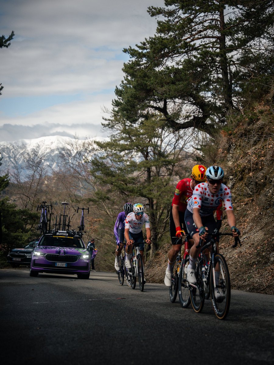 Team TotalEnergies tweet media