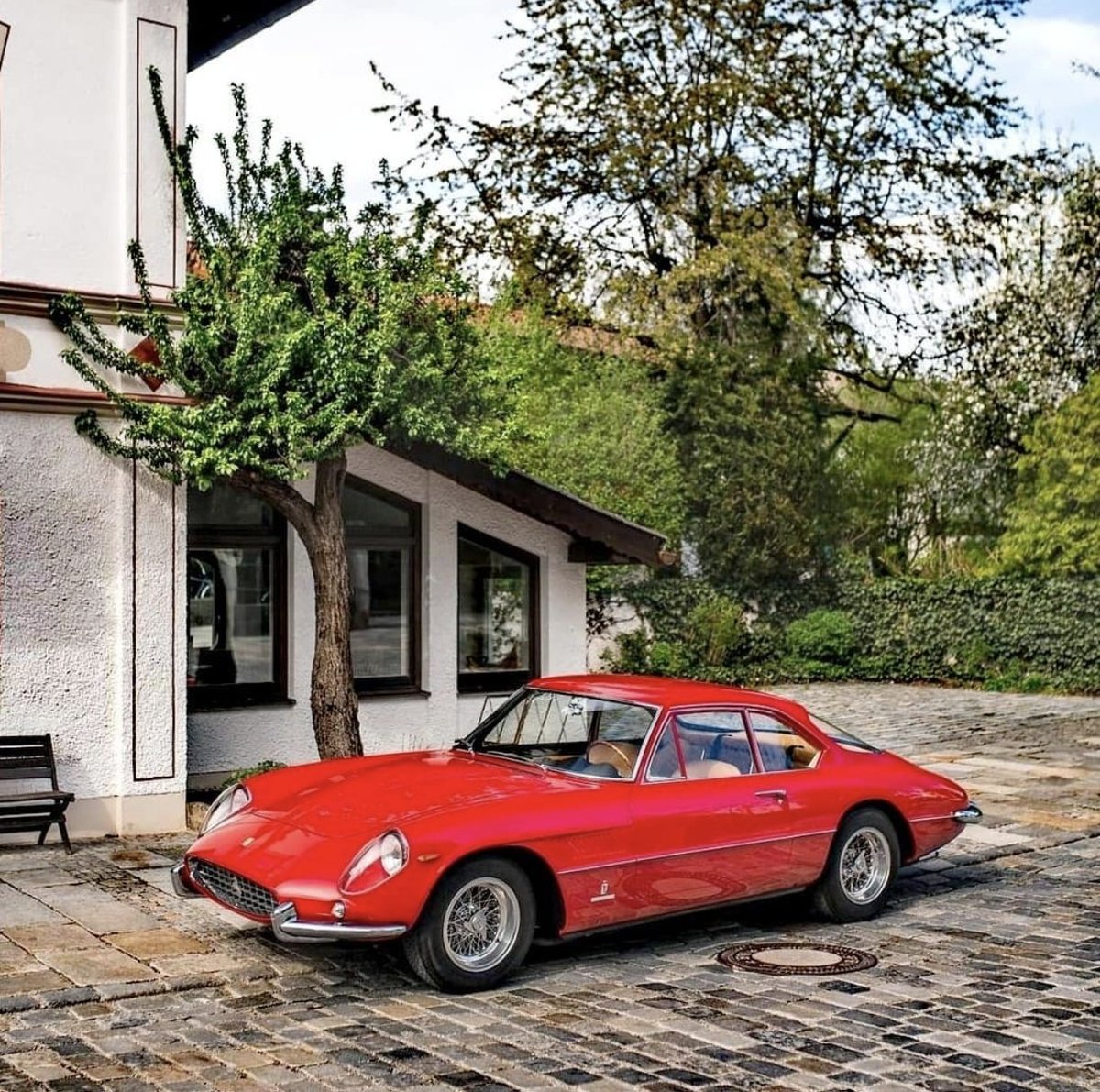 ๐ต๐๐๐๐๐๐ ๐ฟ๐๐๐ tweet media