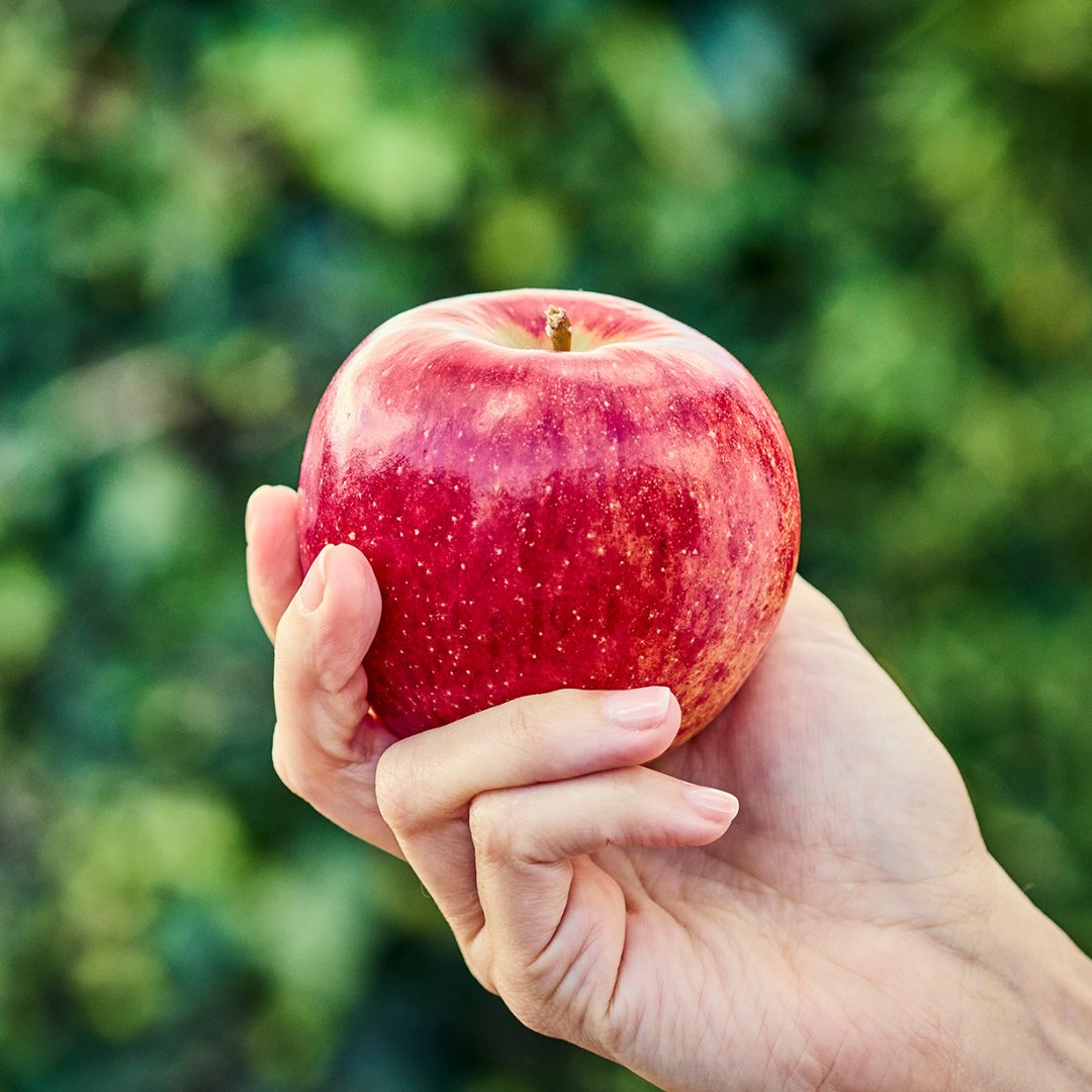 Envy Apples tweet media