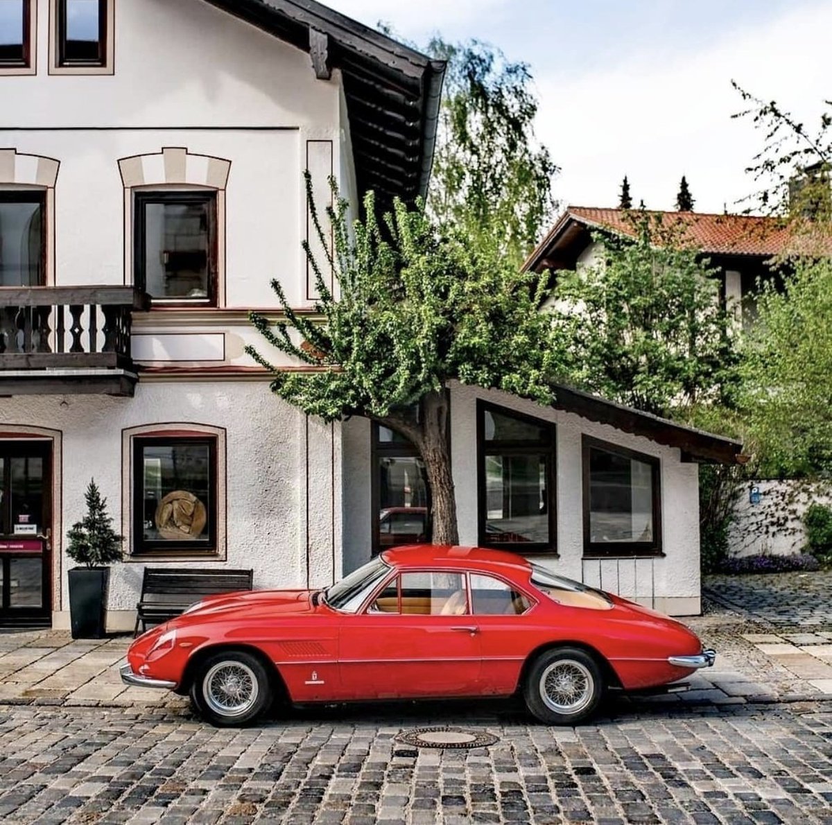 ๐ต๐๐๐๐๐๐ ๐ฟ๐๐๐ tweet media