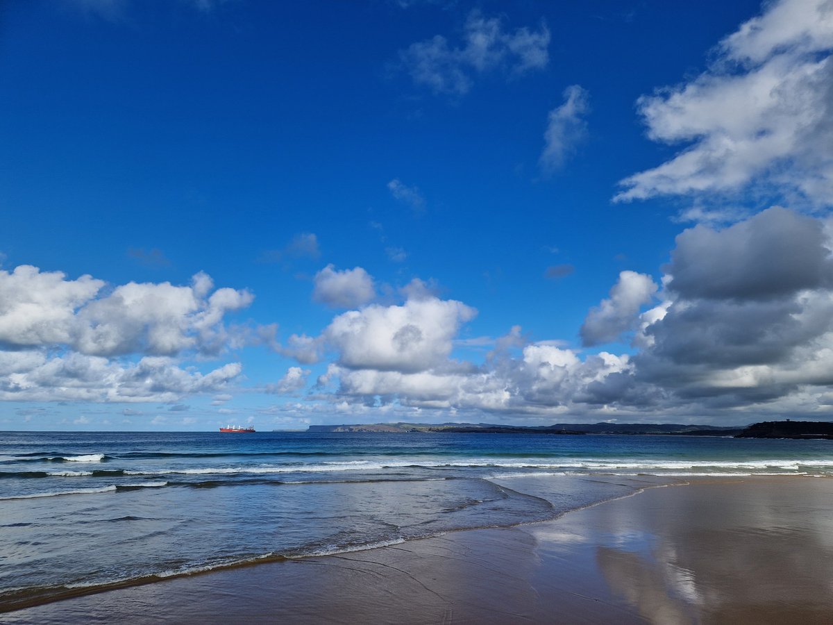 Conchi Solanas tweet media