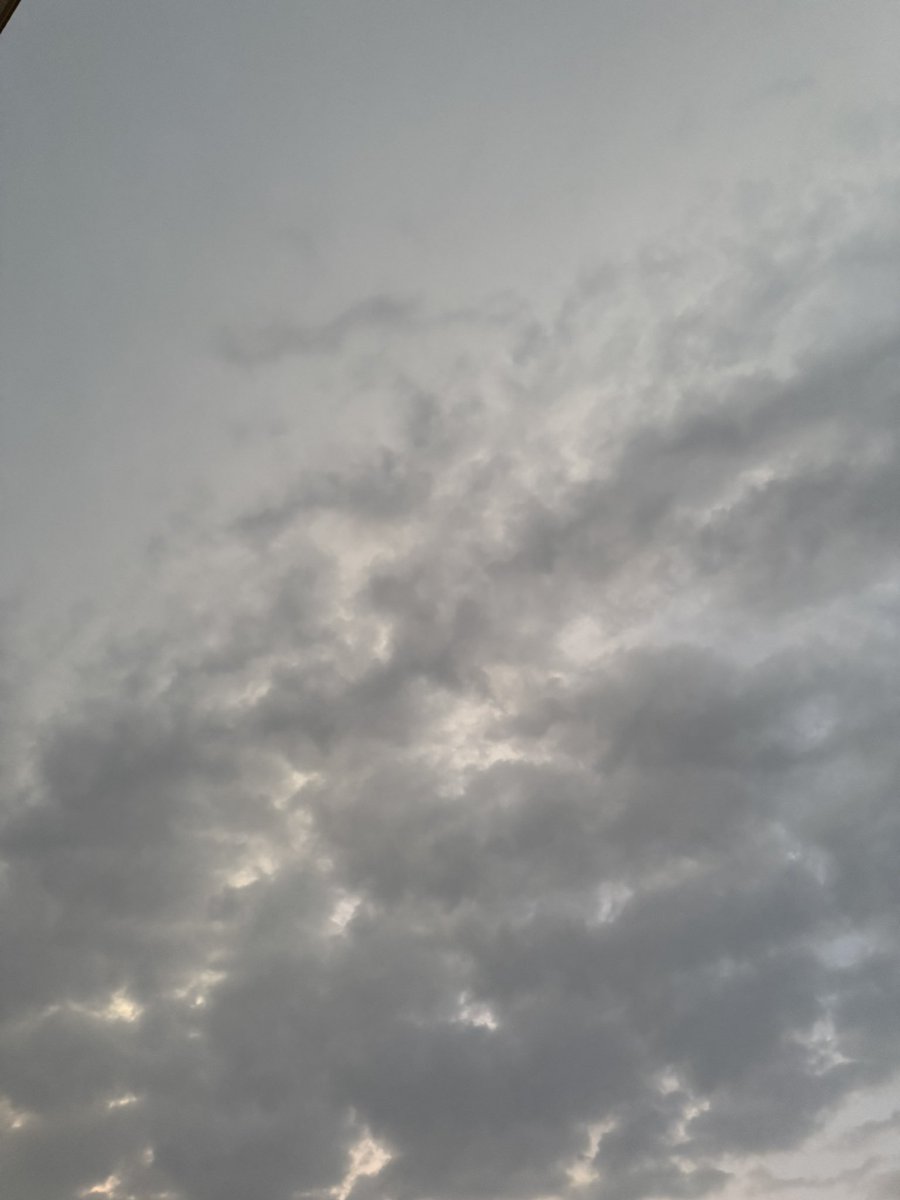 ياسمين | ヤスミン tweet media