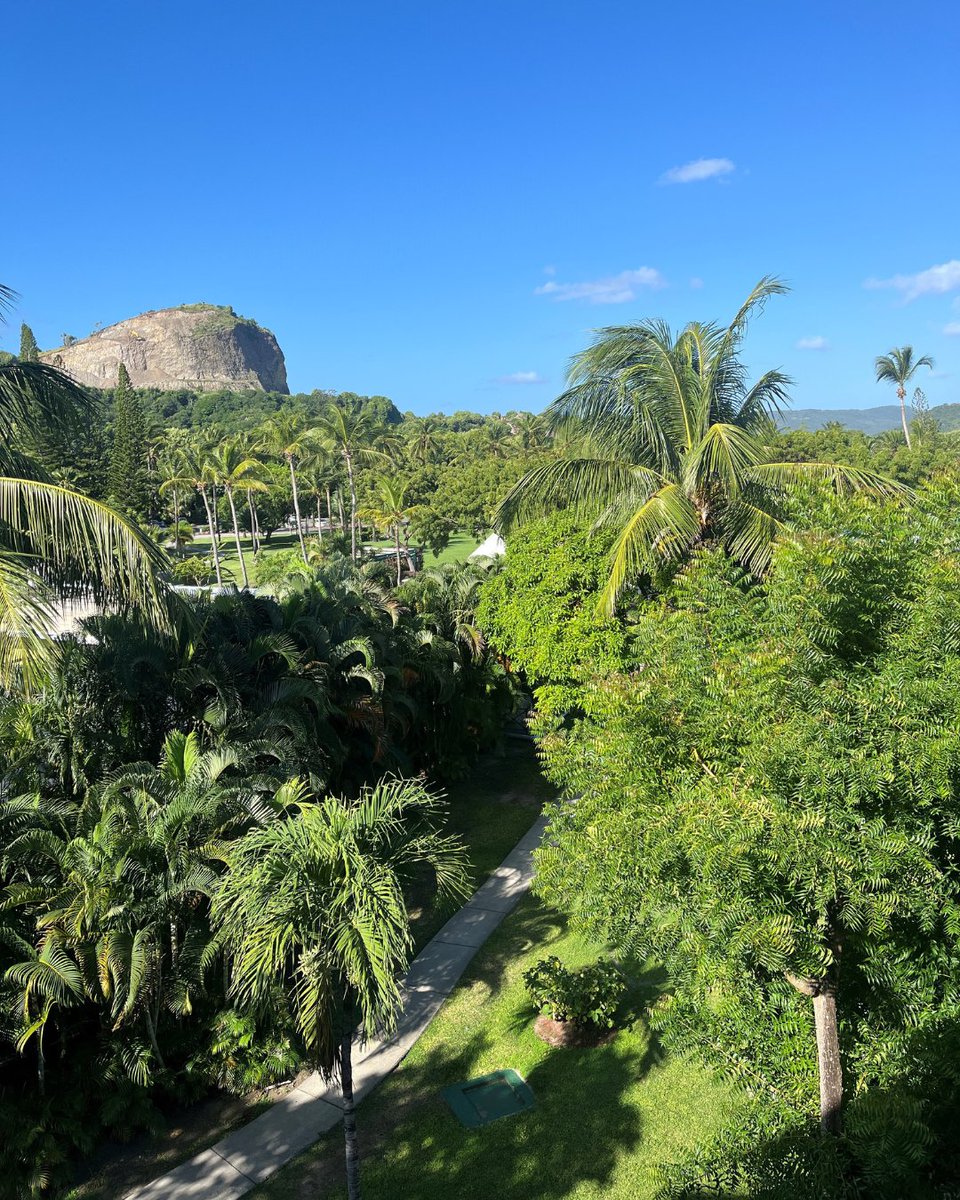 Coconut Bay St Lucia tweet media