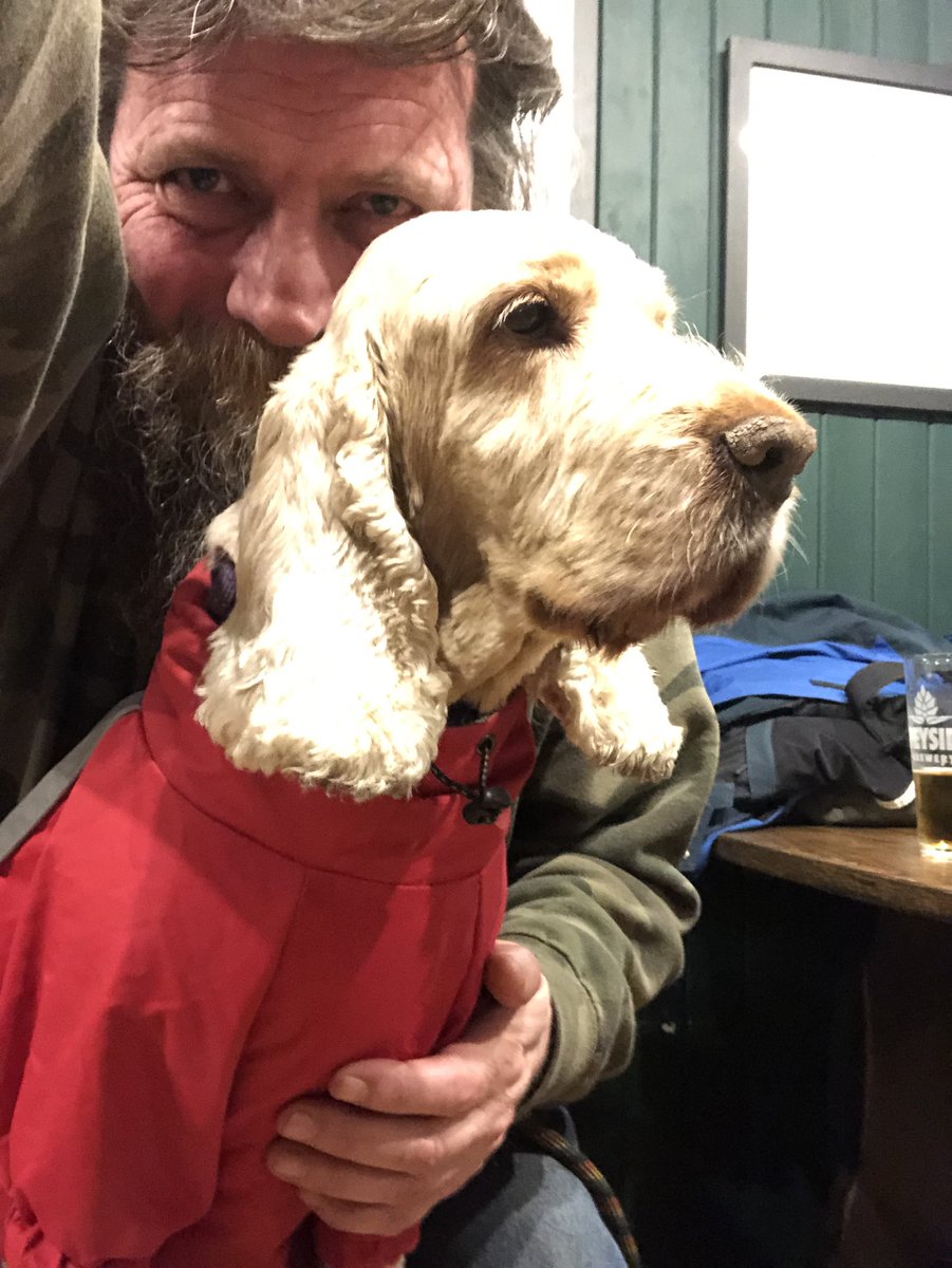 Blair Reid tweet media