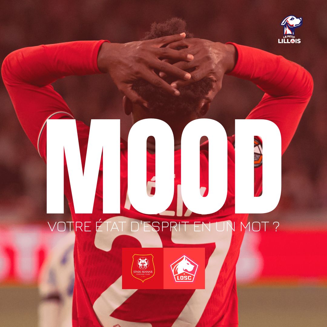 Le Petit Lillois ⚜️ tweet media