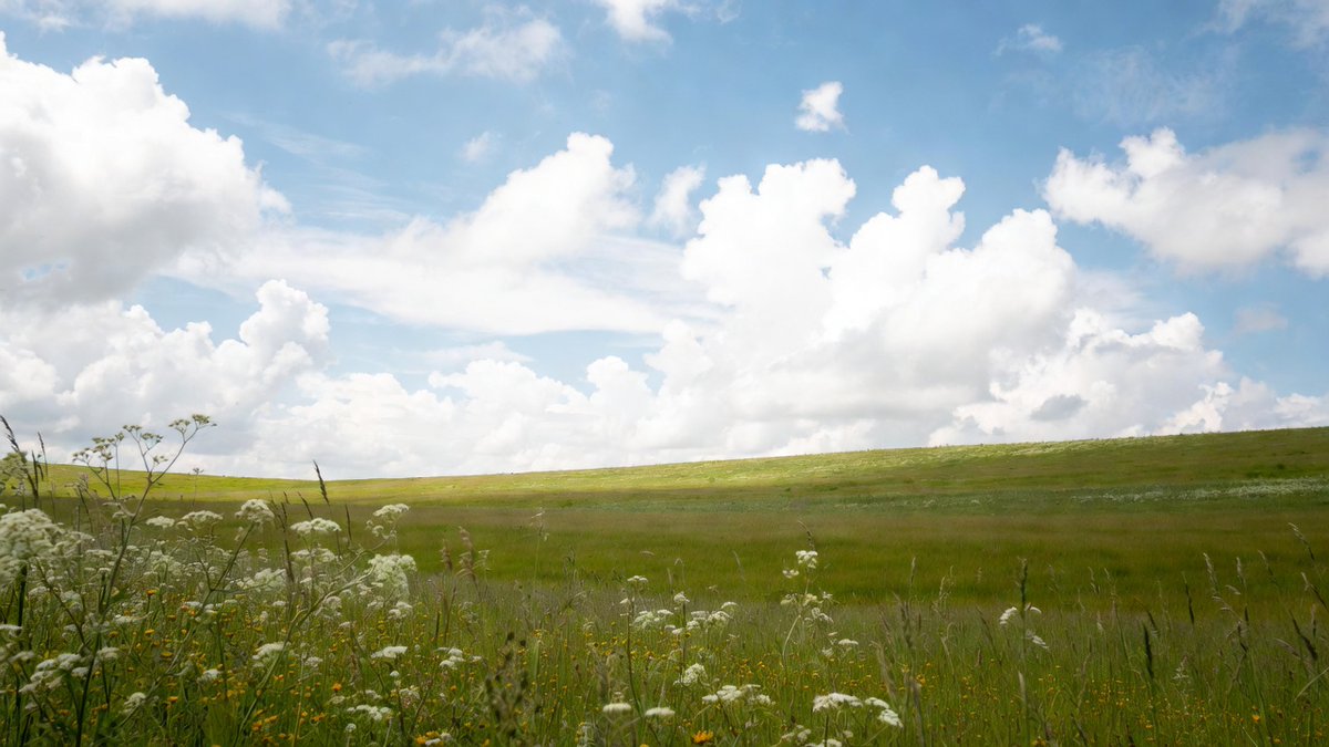 Coretta Prince tweet media