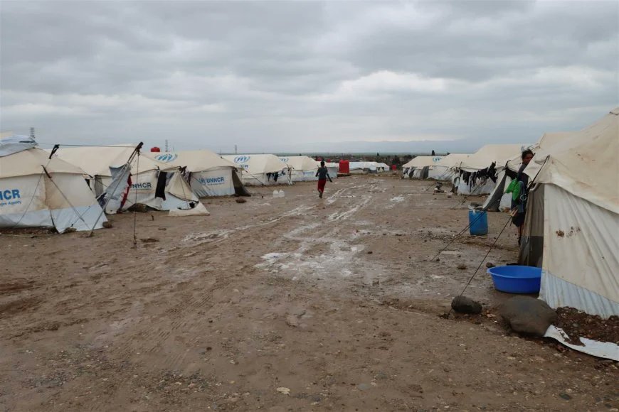 Janosch Tries tweet media