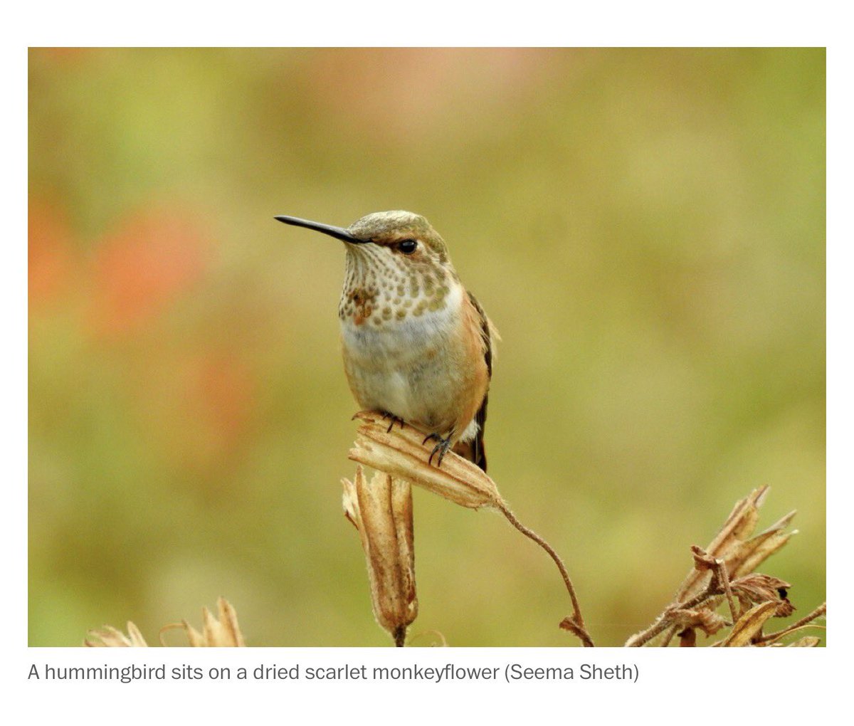 EarthOverOil🌻 tweet media