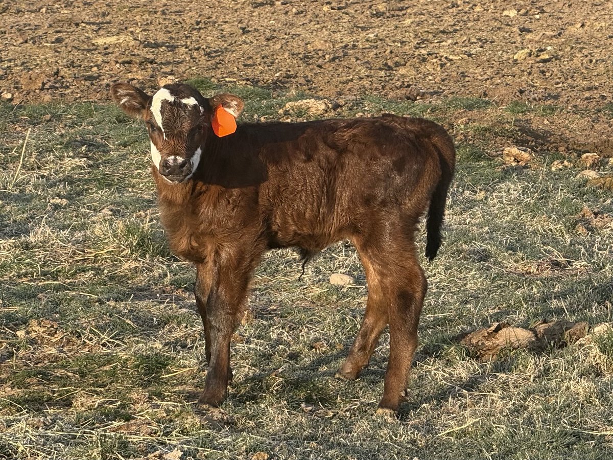 Mike Moyle tweet media