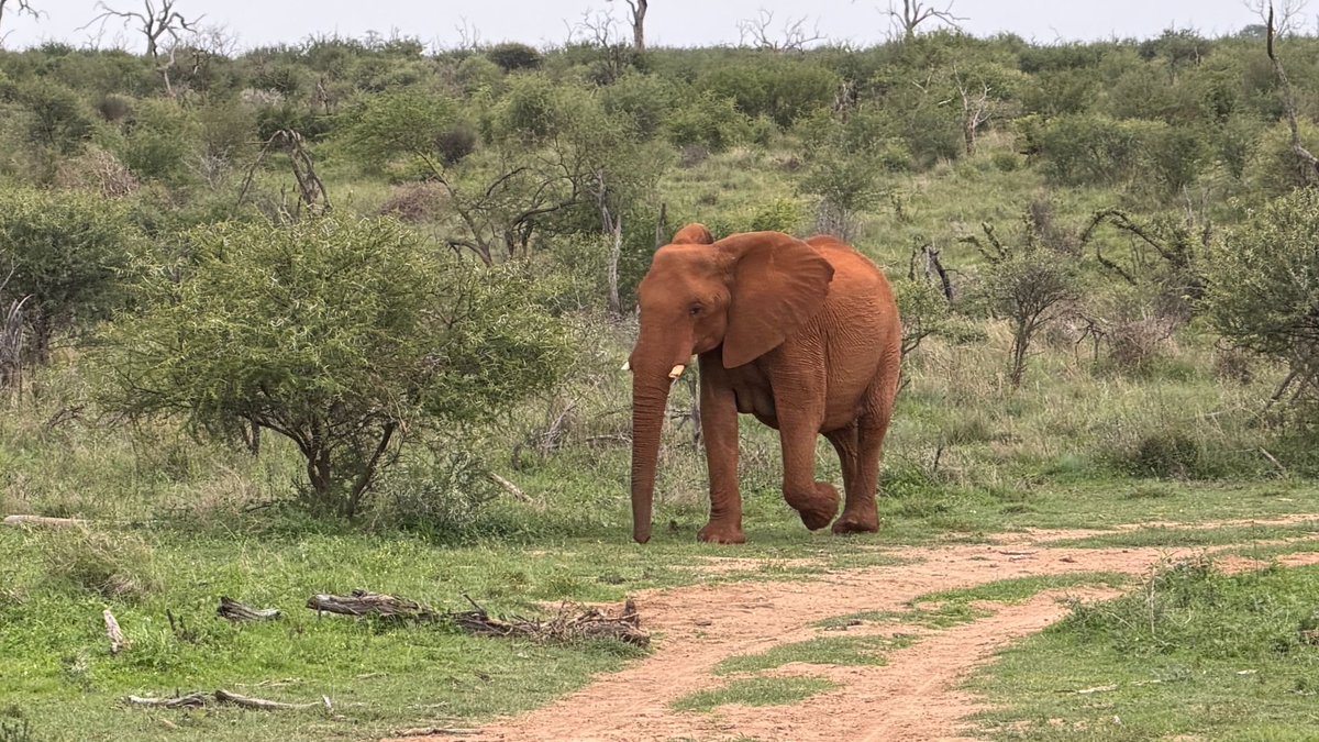 Precision is our language at SAGS TOURS (PTY) LTD. 🇿🇦
​Finalizing multi-provincial audits and regional compliance for 2026. Scaling our fleet across the Western and Eastern Cape to set the executive standard for luxury logistics. 🚐✨
​#Logistics #SagsTours #CapeTown #Leadership
