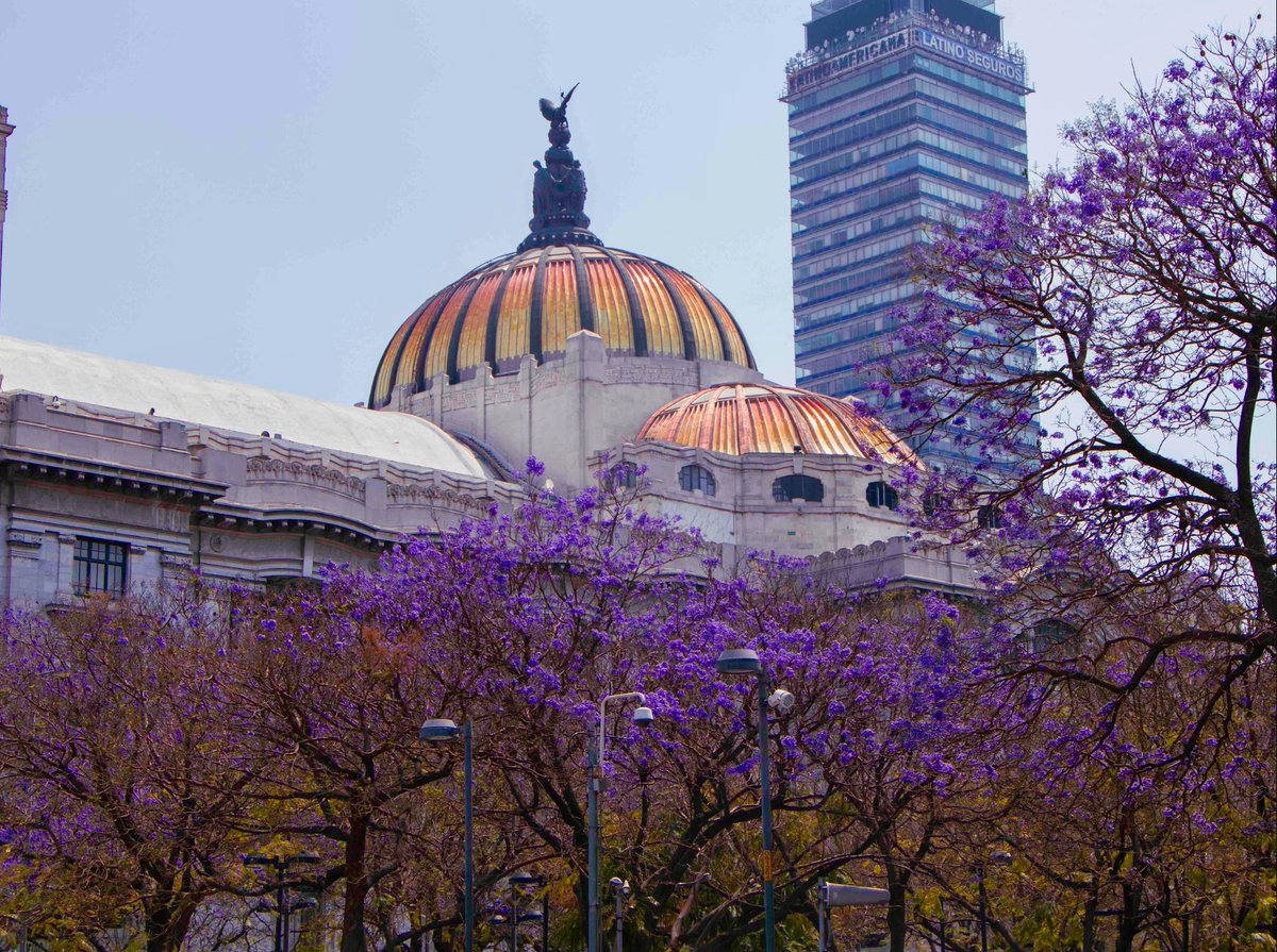 Museo del Palacio de Bellas Artes tweet media