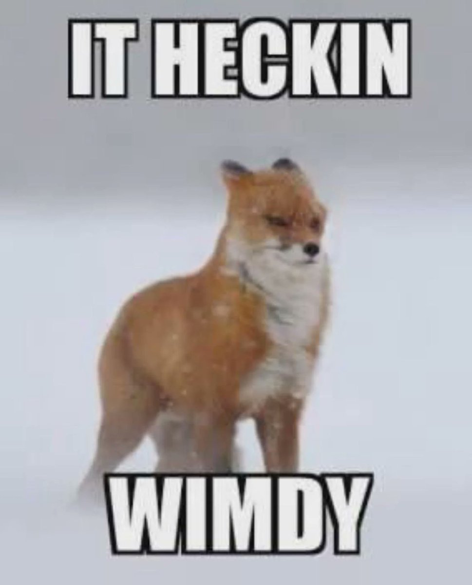 Jake Thompson tweet media