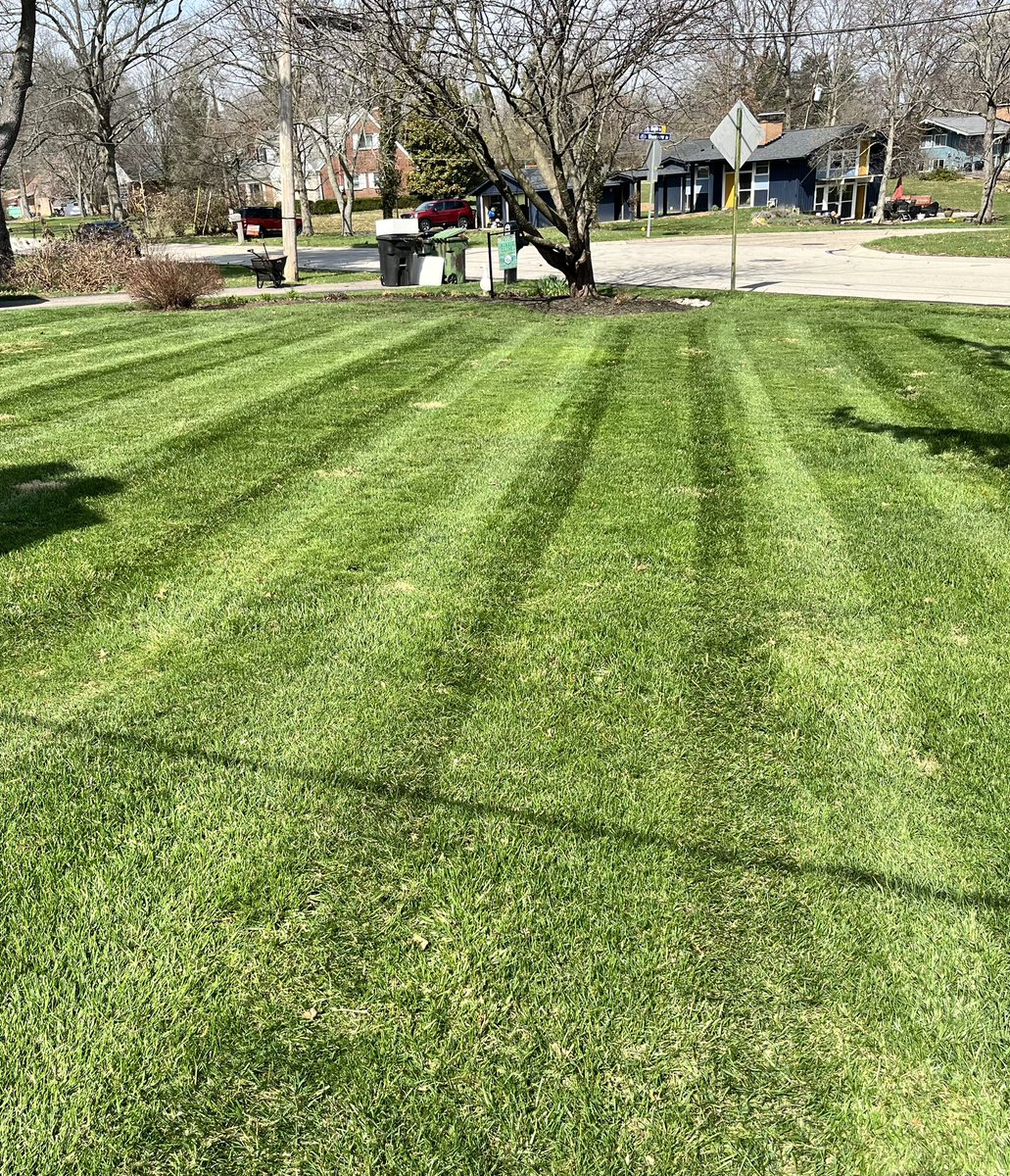 T.J. Bollmer tweet media