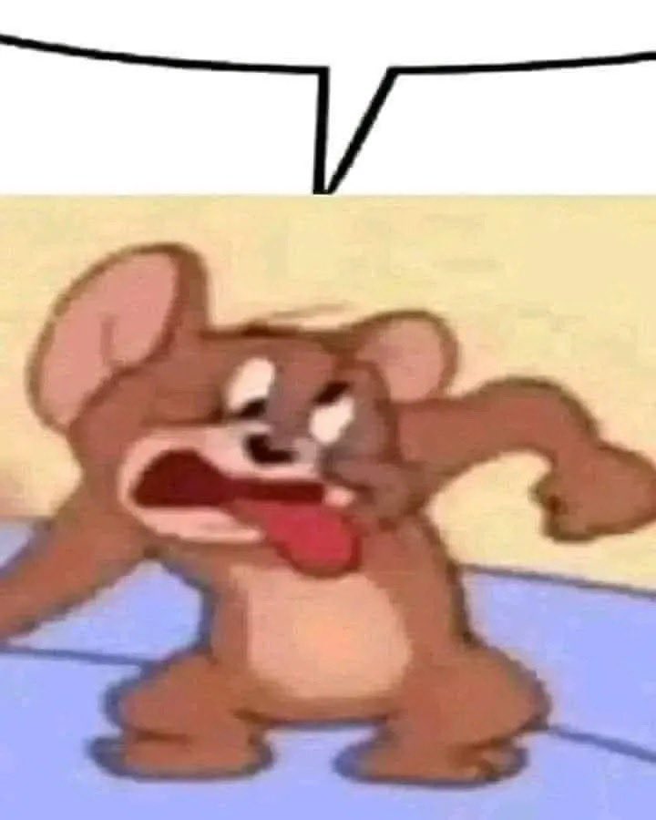 奈特Nite tweet media