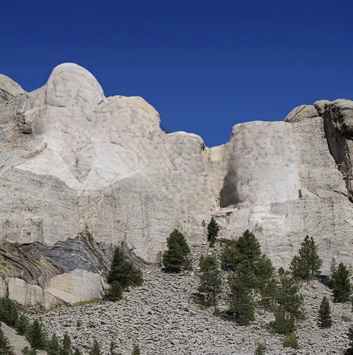 𝔗𝔥𝔢 𝔇𝔢𝔱𝔯𝔬𝔦𝔱 𝔗𝔦𝔪𝔢𝔰 📰 tweet media