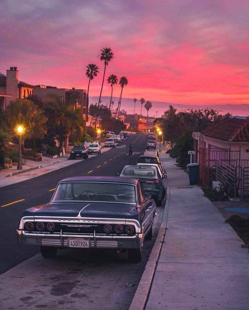 Anniecomplex© tweet media