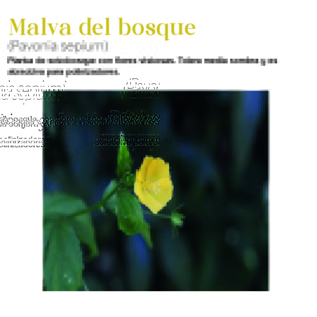 Arquitectura, Paisaje y Patrimonio tweet media