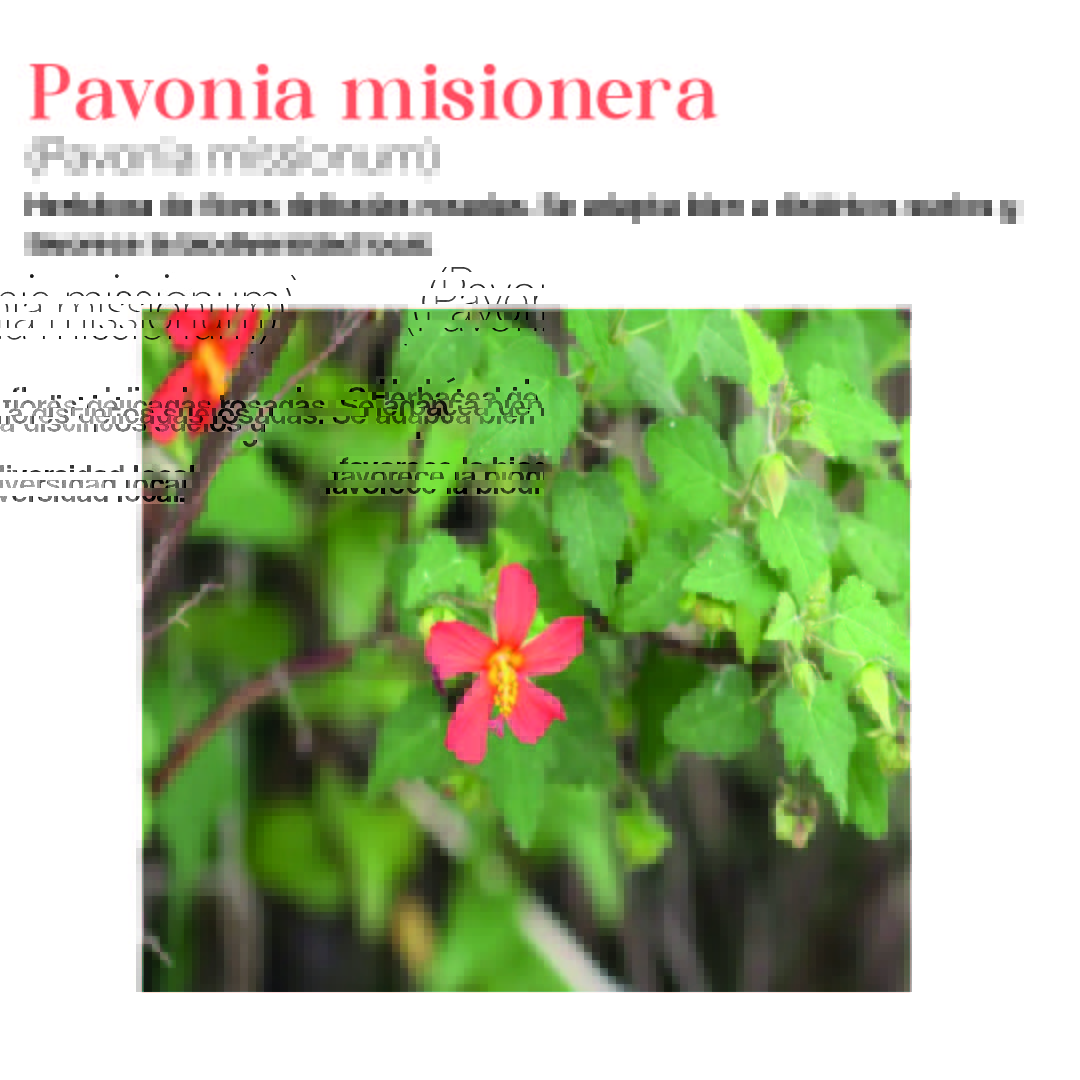 Arquitectura, Paisaje y Patrimonio tweet media