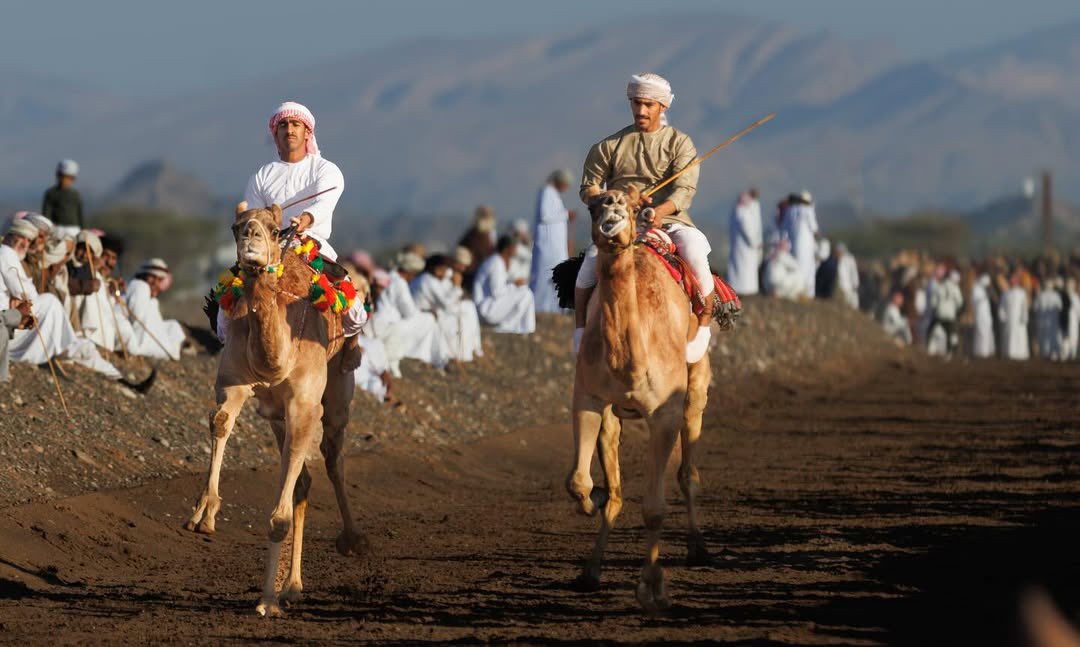 Experience Oman tweet media