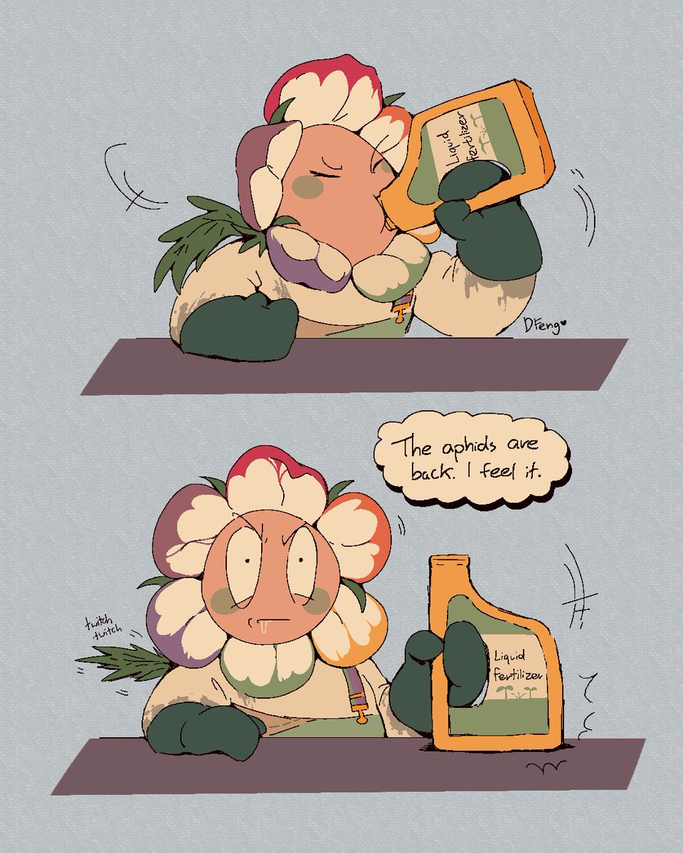 dfeng⭐️🌙 tweet media