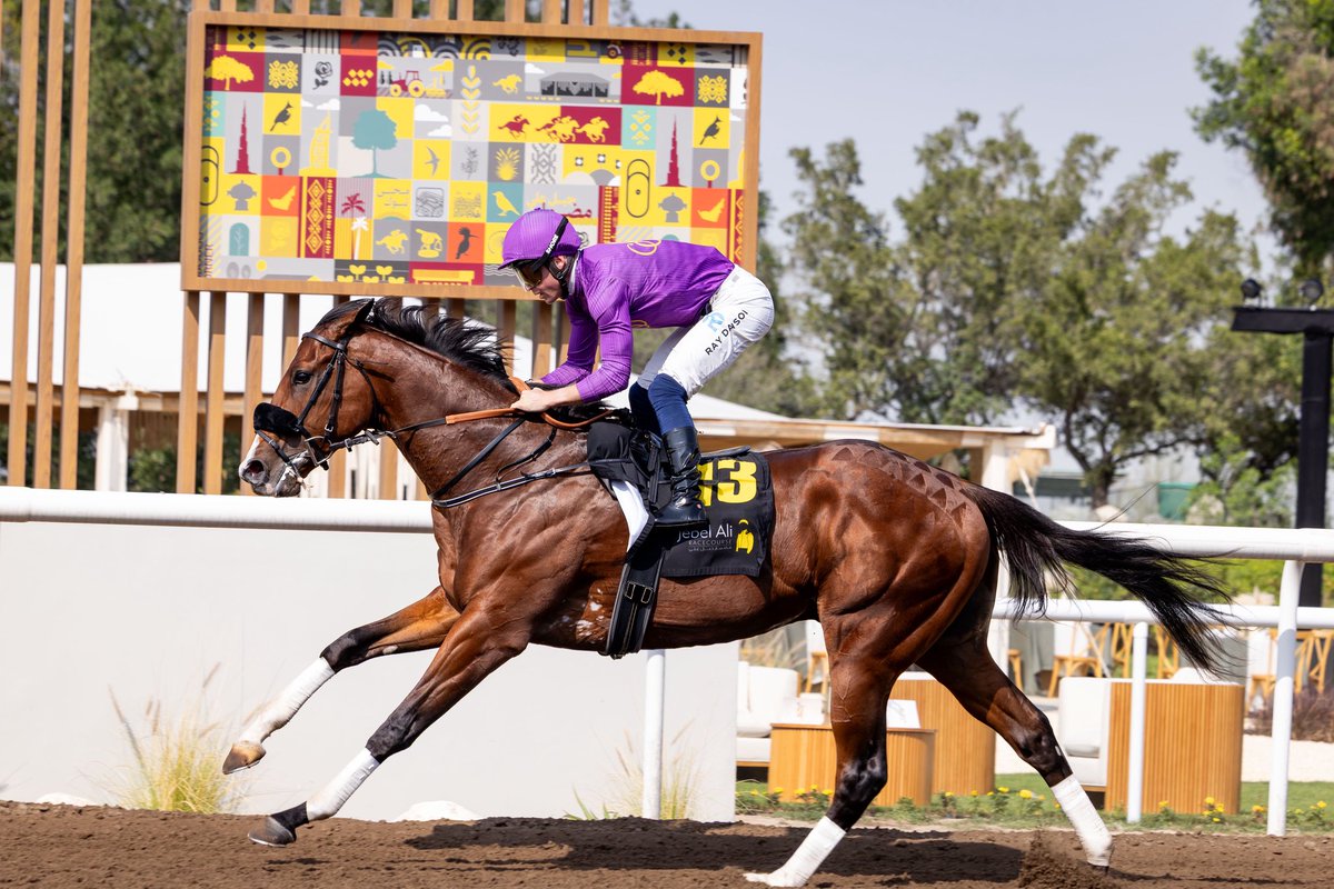 Michael Adolphson tweet media