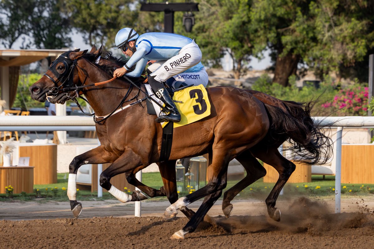 Michael Adolphson tweet media