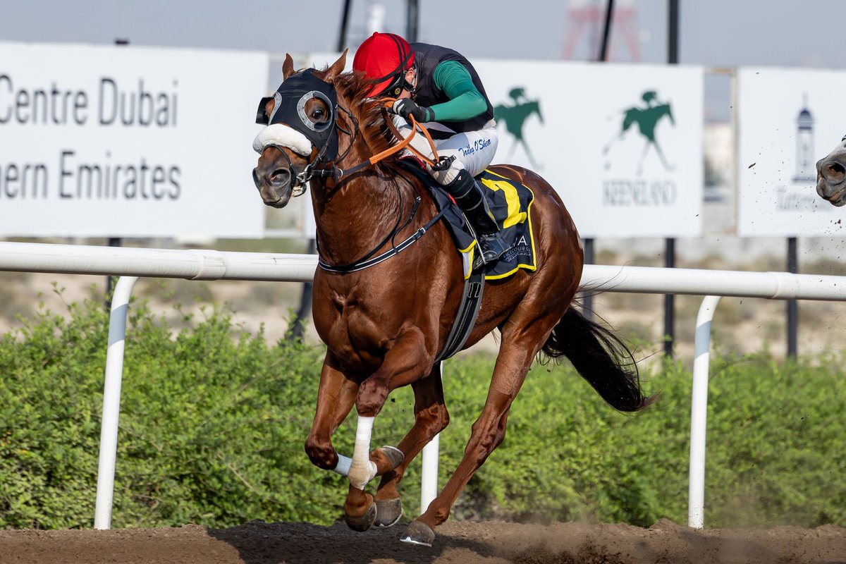 Michael Adolphson tweet media