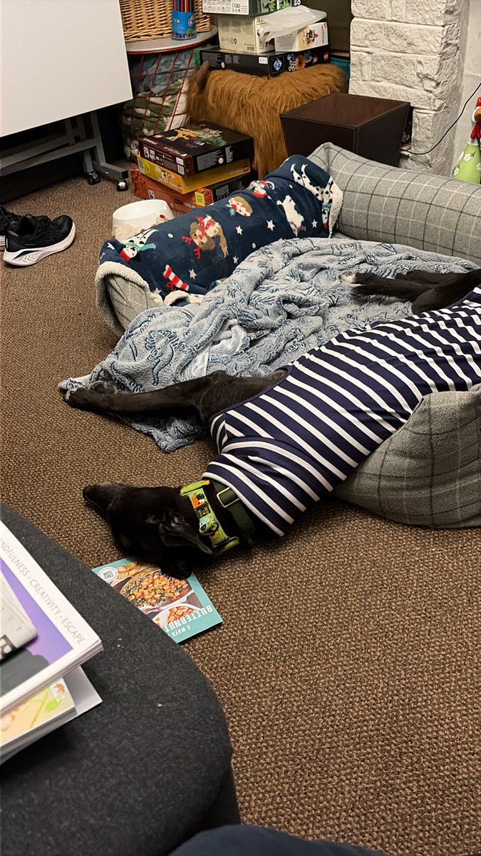 Duke 💙 tweet media